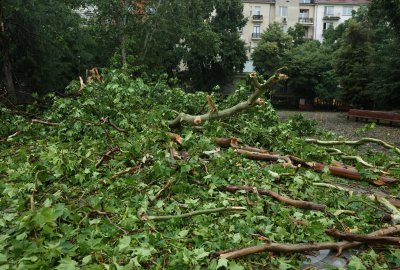 Няма пострадали хора и тежки инциденти след снощната буря в Старозагорско