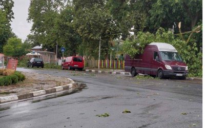 Силна буря остави без ток няколко села в Ямболско, паднали дървета нанесоха щети