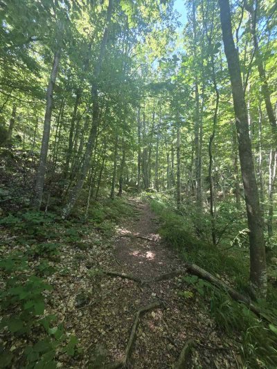 Volunteers Cleared Eco Path Leading to Chiprovtsi Waterfall