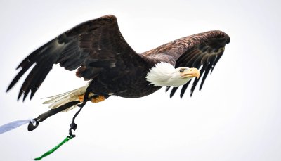 Засилени мерки за сигурност в Разград преди Лудогорец - Апоел Тел Авив