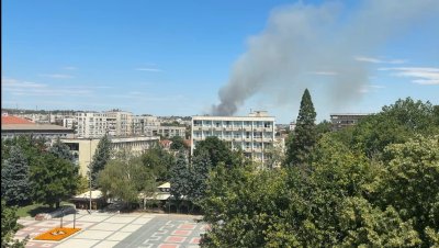 Сухи треви и храсти горяха на няколко места край Монтана