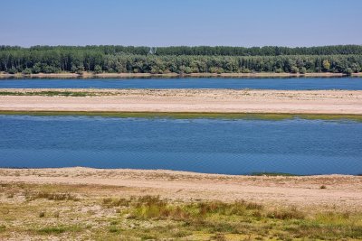 Умира ли рибата в река Дунав: Как ниските нива на водата влияят на биоразнообразието?