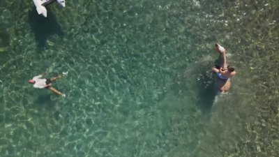 Езда в морето - как хора и животни се разхлаждат в жегите в Хърватска