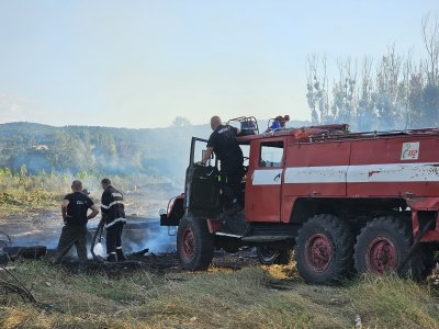 Близо 100 декара тополова гора и сечище изгоряха при пожар край харманлийското село Рогозиново (СНИМКИ)
