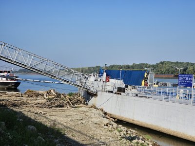 Ниското ниво на река Дунав заплашва популацията на речната риба
