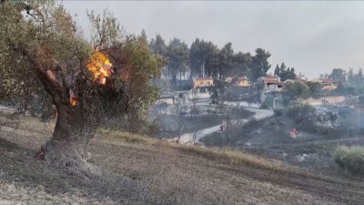 Пожарът на Халкидики: Успокоява се ситуацията в района на Сивири