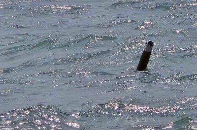 Проверяват сигнал за паднал снаряд в морето край Тюленово