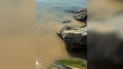 Фекални води се изляха на плаж в Свети Влас, санкционират ВиК &ndash; Бургас
