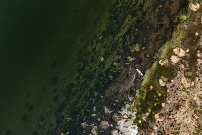 Дунав в прегръдката на сушата: Как се променя обликът на реката? (СНИМКИ)