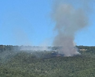 Пожар избухна в гората над Свети Влас