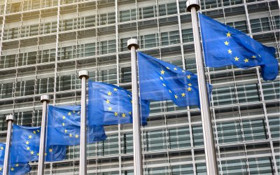 Българските евродепутати отправят спешен апел към ръководството на ЕС относно случая с Ива Михайлова