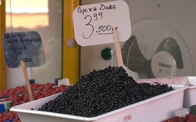 След края на двойното обозначение: Свикнахме ли с цените в евро?
