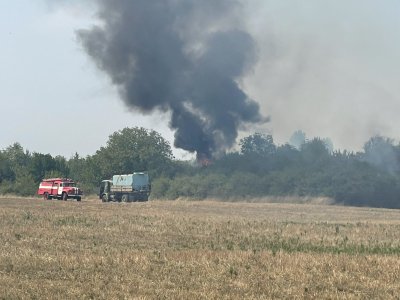 Пожар гори във вилната зона на Мездра (СНИМКИ)