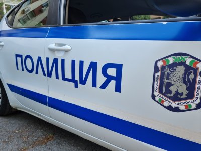 12 души пострадаха след катастрофата, предизвикана от диво прасе край Бургас