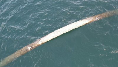 Нова проверка за изплувалата тръба край &bdquo;Златна рибка&ldquo;: Водните проби са в норма
