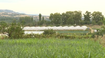 Заради липса на вода за напояване земеделците в Кресна търпят огромни загуби