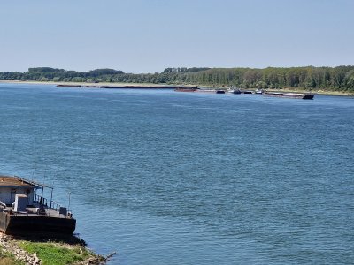 Застой в нивото на река Дунав е отчетен за последните 24 часа