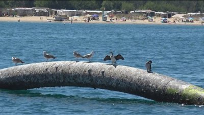 Тръбата край &bdquo;Златна рибка&ldquo;: Созопол ще иска помощ от МРРБ за съоръжението