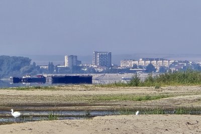 Ниското ниво на Дунав: как сушата се отразява на икономиката и региона?