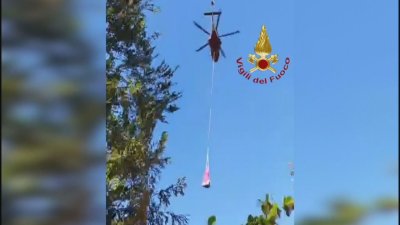Спасиха с хеликоптер крава, паднала в дере в централна Италия