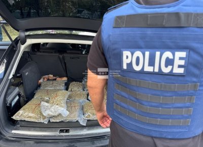 Над 10 кг марихуана, кокаин и 23 растения канабис иззеха от СДВР при две полицейски операции