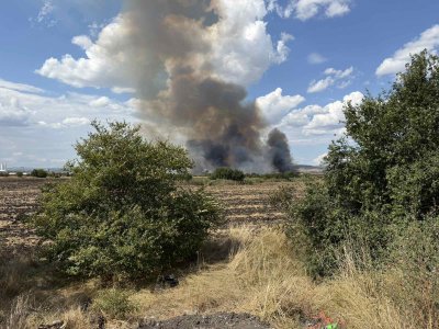 Голям пожар избухна край Бургас, 17 огнеборци са на място