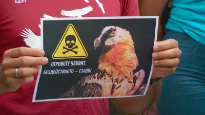 Протест в Пловдив заради отровените 8 лешояда в Стара планина