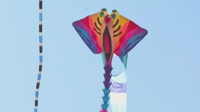 "Въздушни чудеса" примамват любителите на хвърчилата на Аспаруховия плаж във Варна