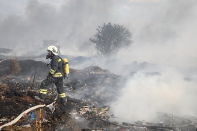 Пожар горя в близост до летището и столичния кв. "Христо Ботев"