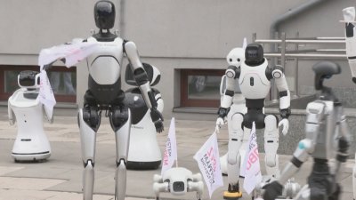 Протест на роботи в Полша срещу изкуствения интелект