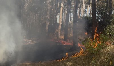 Локализираха пожара край Бургас, огънят все още не е потушен