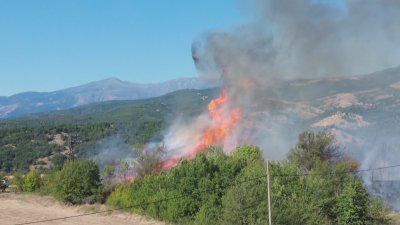 Пожарите у нас с 30% по-малко в сравнение с последните две години
