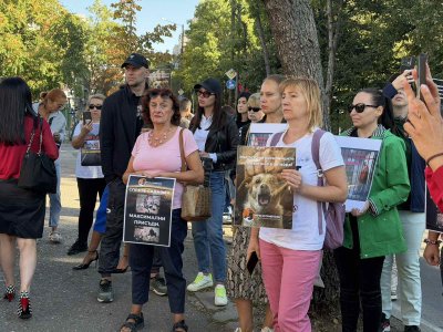 Пореден протест срещу насилието над животни пред Софийския градски съд (СНИМКИ)