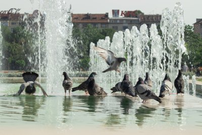 Скок на температурите във вечерните часове в България за последните 20 години, първенец е Плевен, следван от София и Благоевград
