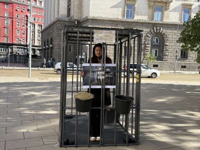 Клетка пред парламента като част от акцията на &ldquo;Невидими животни&rdquo;