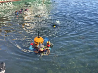 Акция за по-чисто море: Доброволци чистят морското дъно край Несебър