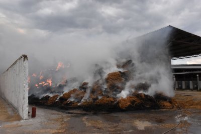 Пожар пламна в кравеферма край хасковското село Конуш (СНИМКИ)