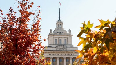 Тленните останки на цар Самуил &ndash; първи политически реакции за завръщането им у нас