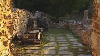 Цар Самуил през очите на антрополозите: Какво разкриват костите му