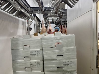 Привлякоха като обвиняеми двамата шофьори, превозвали марихуана и кокаин в Ловеч