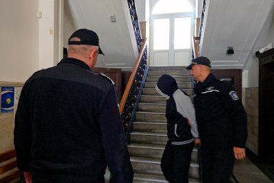 2 години затвор и глоби от 1000 евро за двойката, измъчвала животни