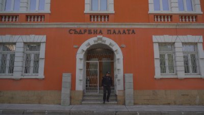 Ясни са поръчителите на порнографските видеоклипове с измъчване и убиване на животни