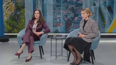 Велислава Петрова: Създава се усещане, че търговските кораби са се превърнали в бойно поле, това е неприемливо