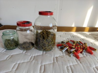 Полицейска акция в Царево: Иззеха килограм марихуана, боеприпаси и незаконна дървесина
