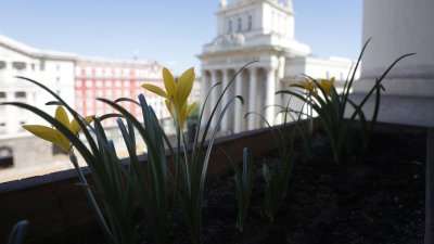 ГЕРБ събира подписи за извънредно заседание на парламента с искане за оставката на Доцова