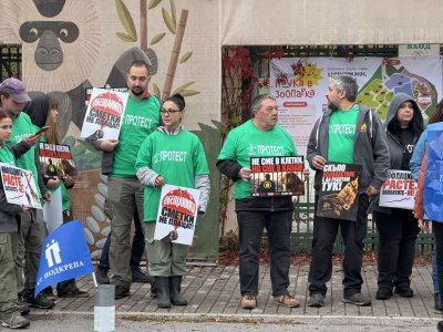 Служители на Столичния зоопарк протестират за по-високи заплати (СНИМКИ)