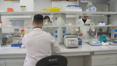 Bulgarian Scientists Contribute to Uncovering the Molecular Mechanisms Behind DNA Organisation in the Cell Nucleus