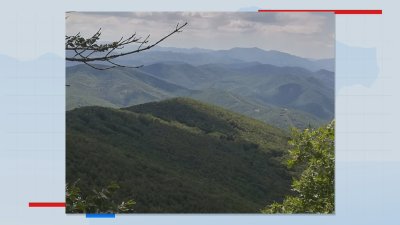 Протест в село Брястово срещу търг за общински гори, където има археологически находки