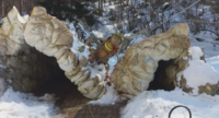 Рухна конструкцията на входа на пещерата Леденика