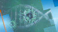 Разраства се епидемията от коронавирус